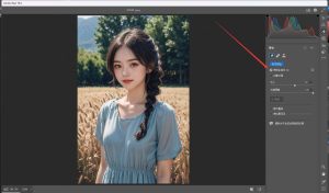 AdobeCameraRaw x64 16.4版本 (免费版）