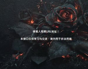 虾米解析-全网最稳定解析接口